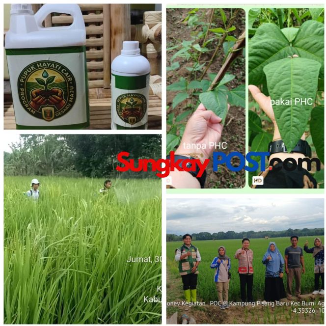 
 Saatnya petani beralih ke pupuk hayati