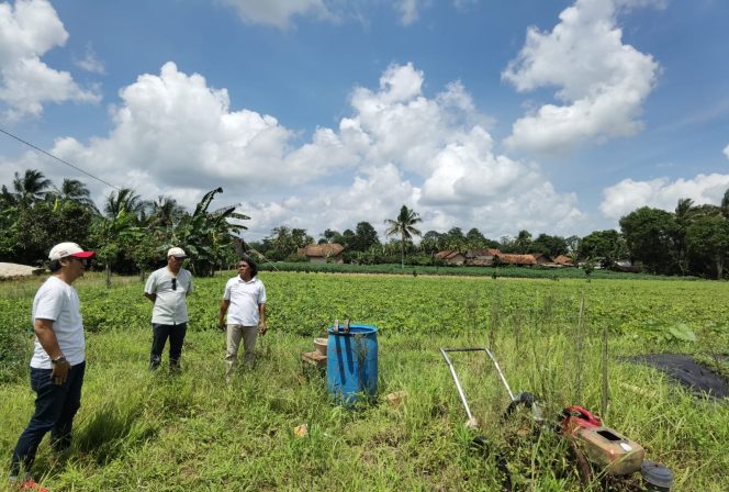 
 Koperasi IJP Lampung gandeng Kelompok Tani Lampung Timur