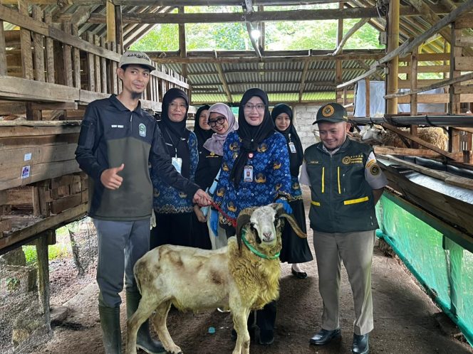 
 Pemprov Lampung kerahkan 1229 Petugas Awasi Hewan Qurban