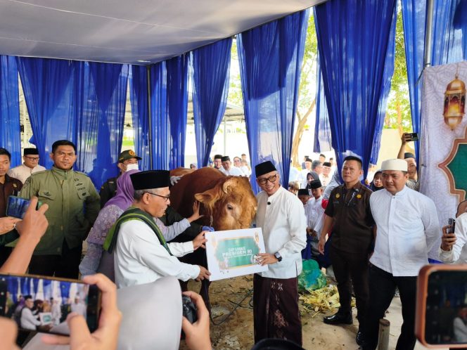 
 Gubernur Lampung Rahmad Mirza djausal terima  Hewan Qurban berupa sapi seberat 1,338kg dari Presiden Prabowo
