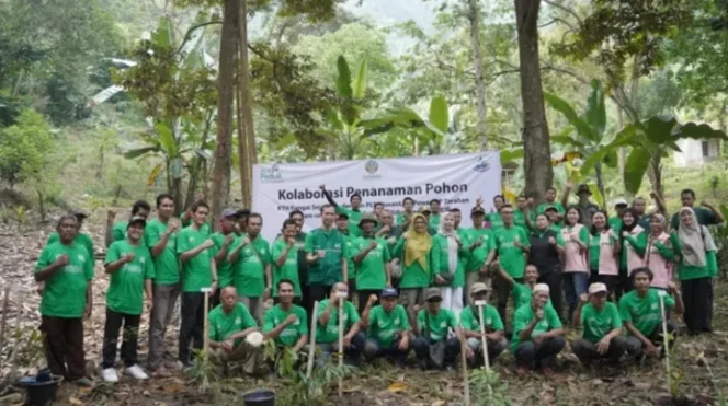 
 PLN  Unit Tarahan Tanam 1800 Pohon