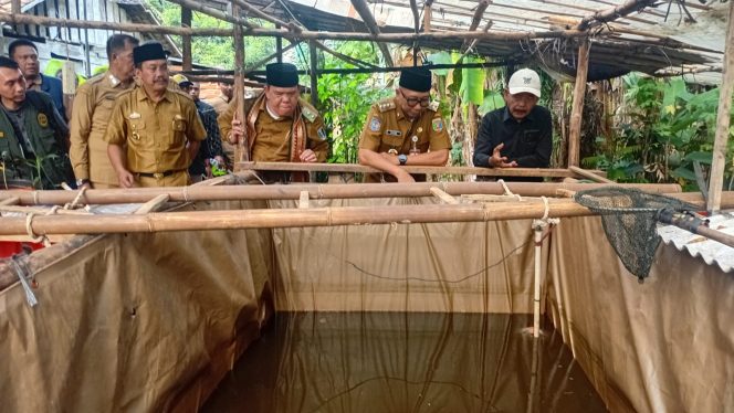 
 Gubernur Mirza Tinjau PHC di Lampung Timur